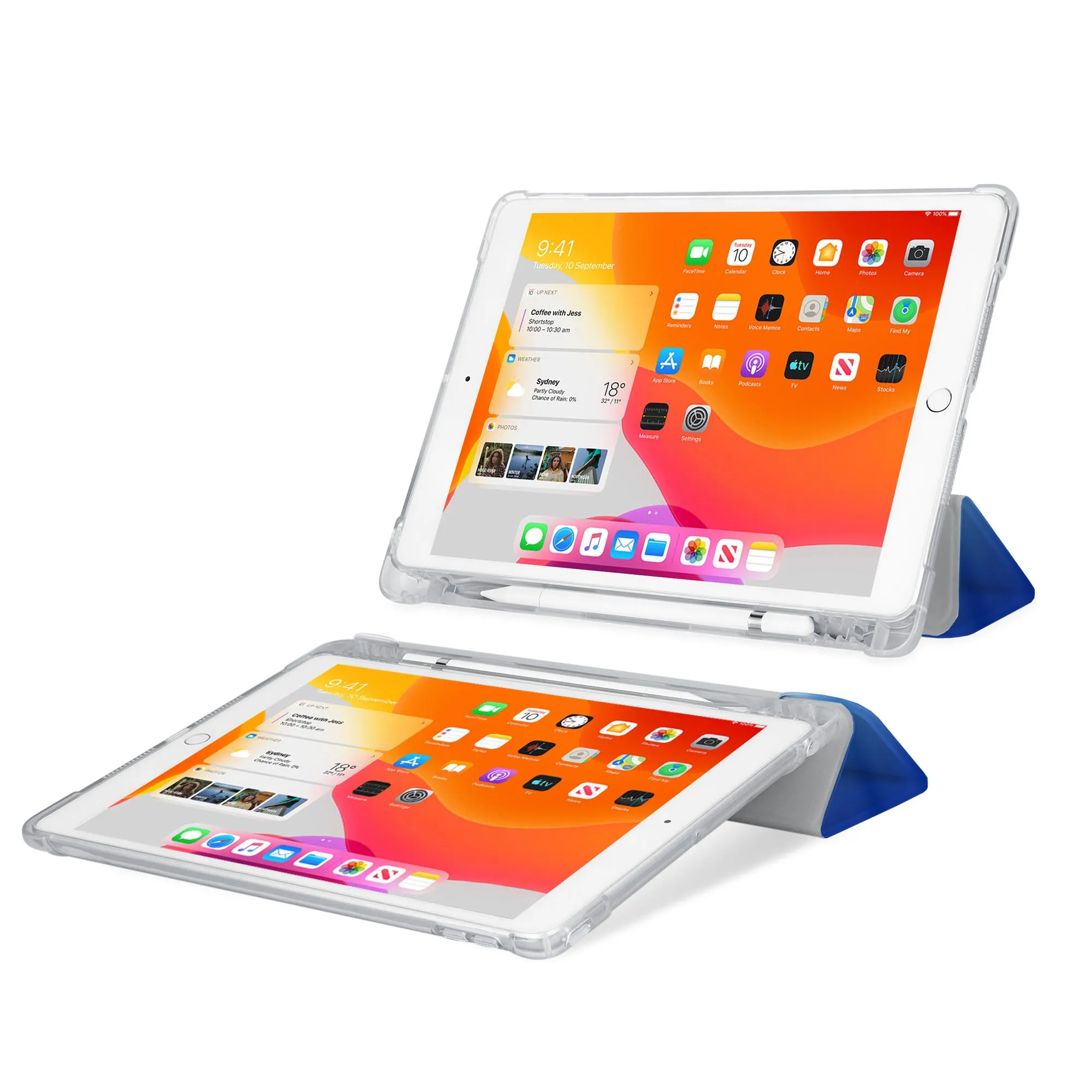 iPad SeeThru Case - Horse